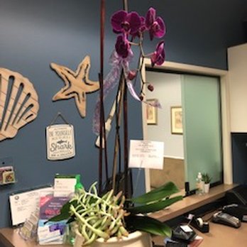 Flowers By Coley - Florists Near Me - Tustin, California Flowers By Coley - Florists Near Me - Tustin, California