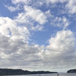 Quality Inn & Suites - Olympic National Park