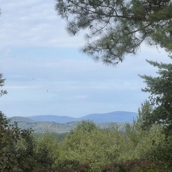 Saunders-Monticello Trail - Hiking Near Me - Charlottesville, Virginia Saunders-Monticello Trail - Hiking Near Me - Charlottesville, Virginia