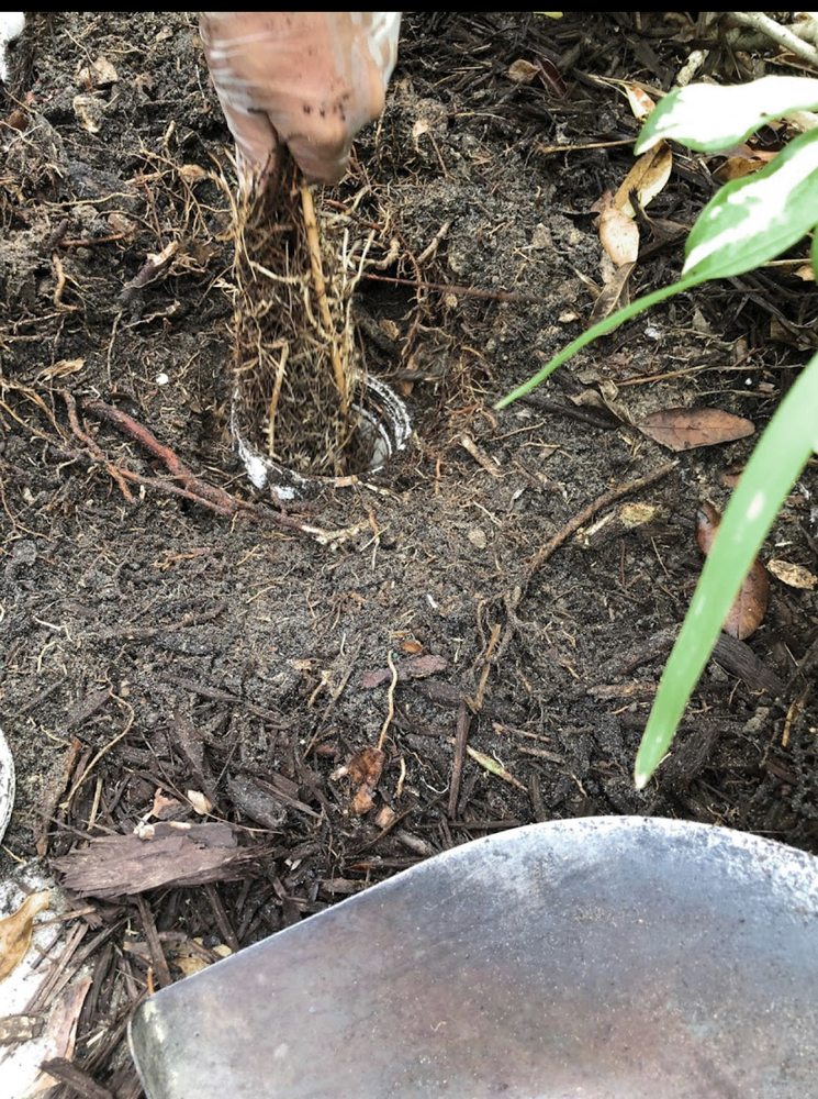 Slide of Lansdale Plumbing & Drainage