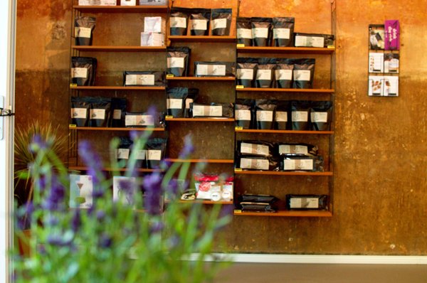 Flying Roasters by null