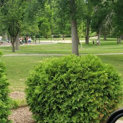 Rotary Park