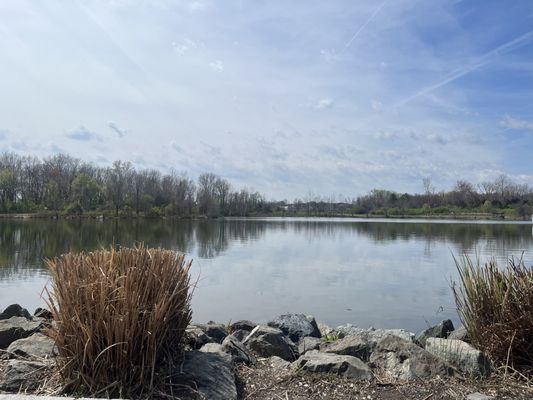 Lake Artemesia Natural Area by null