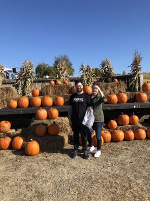 Apple Hill Farm by null