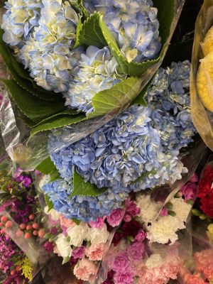 Costco Wholesale by null