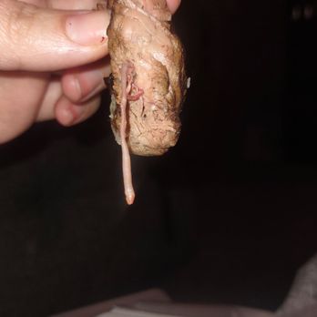 Texas Roadhouse - Barbeque Near Me - Phoenix, Arizona