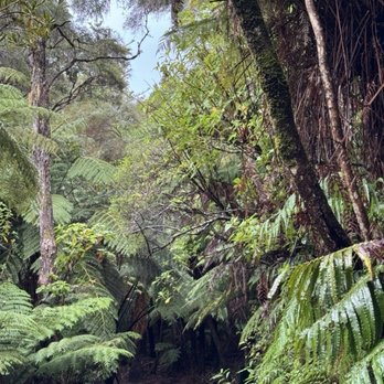 Queen Charlotte Track - Lucky we brought our rain gear and hiking boots!  Some people only wore running shoes without much grip or waterproofing - Hiking Near Me