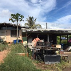 Turtle Bay Mentor - Ever see a house like this? Send me the address quick! You can earn $1,000 a $5,000 per ugly/vacant house lead that I end up buying.