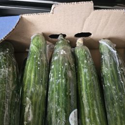 Entire box of molded cucumbers Entire box of molded cucumbers