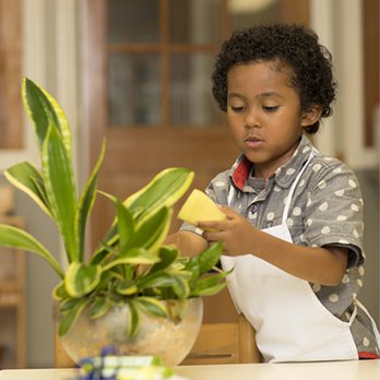 Blue Valley Montessori - Preschools Near Me - Overland Park, Kansas Blue Valley Montessori - Preschools Near Me - Overland Park, Kansas