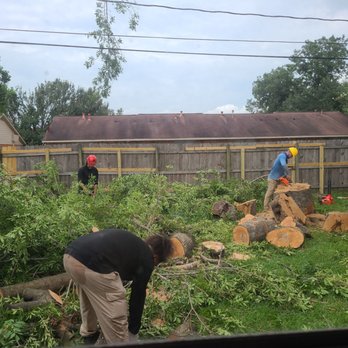 Mario's Tree Service - Yes, even the owner helps with the job! - Tree Services Near Me Mario's Tree Service - Yes, even the owner helps with the job! - Tree Services Near Me