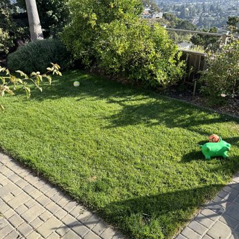 New Moon Landscape  - Backyard 2. - Landscaping Near Me