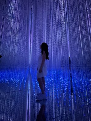 teamLab Borderless: MORI Building DIGITAL ART MUSEUM by null
