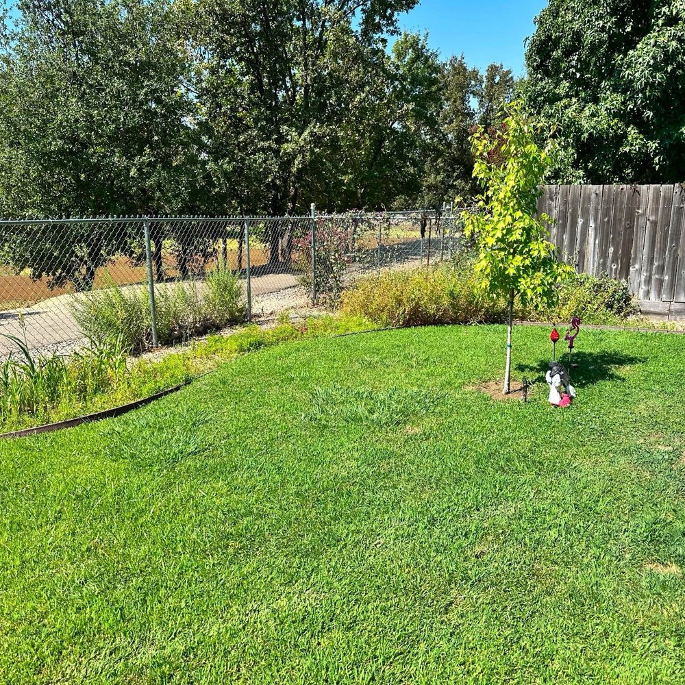Paul's Landscapes - Before - Lawn Services Near Me - Redding, California