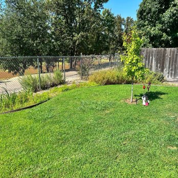 Paul's Landscapes - Before - Lawn Services Near Me - Redding, California Paul's Landscapes - Before - Lawn Services Near Me - Redding, California