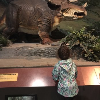 Pacific Science Center - Triceratops - Museums Near Me - Seattle, Washington Pacific Science Center - Triceratops - Museums Near Me - Seattle, Washington