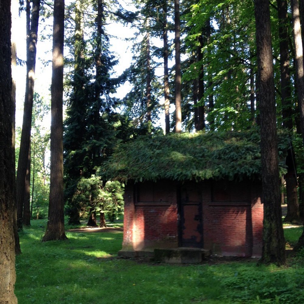 Pier Park - Parks Near Me - Portland, Oregon Pier Park - Parks Near Me - Portland, Oregon