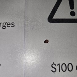 Quality Inn - Bed bug I put on the front desk.