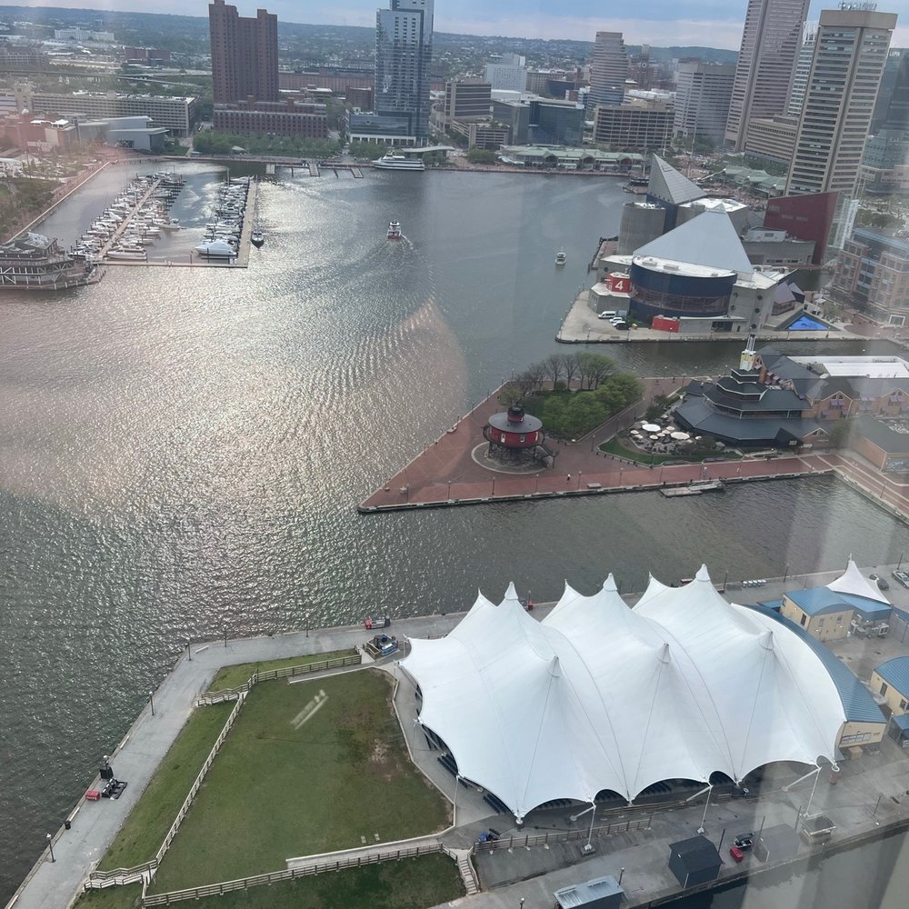 Baltimore Marriott Waterfront - View from 31st floor lounge - Hotels Near Me - Baltimore, Maryland Baltimore Marriott Waterfront - View from 31st floor lounge - Hotels Near Me - Baltimore, Maryland