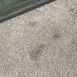 Stained carpet AFTER these people were here !!