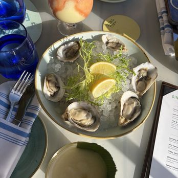 Hau Tree - Oysters - Seafood Near Me - Honolulu, Hawaii