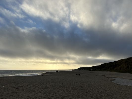 Limantour Beach by null