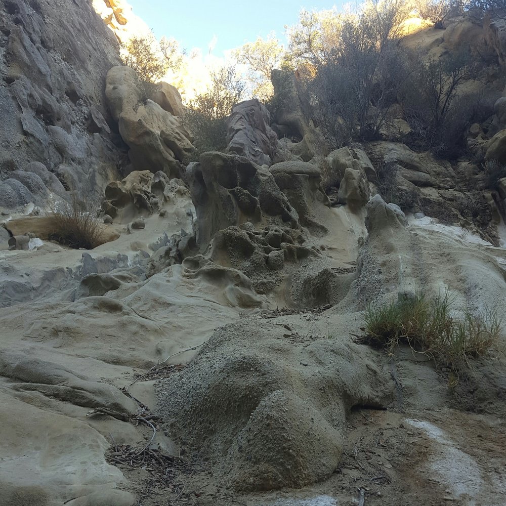 Towsley Canyon Park - Parks Near Me - Newhall, California Towsley Canyon Park - Parks Near Me - Newhall, California