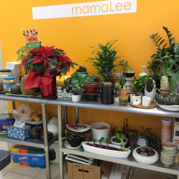 Mama Lee - something about chefs that plant their own food makes me trust their food more :) - Chinese Near Me - Bayside, New York