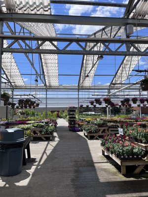 PETITTI GARDEN CENTERS - Updated July 2025 - 64 Photos - 5656 Dressler ...