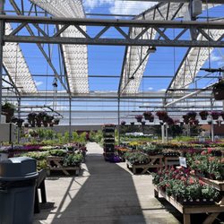 Petitti Garden Centers