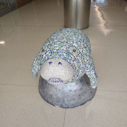 They love the manatees - the manatees deserve better
