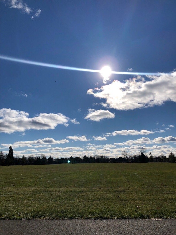 SUNFLOWER VILLAGE HOMES ASSOCIATION 45800 Hanford Rd, Canton, MI Yelp