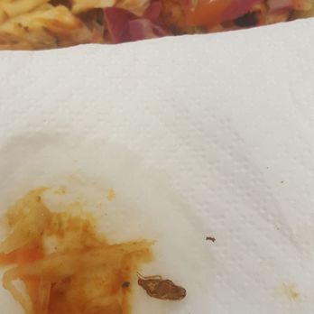 Las Delicias Restaurant - 10/19/17 Disgusting - Latin American Near Me - Annapolis, Maryland