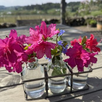 Anacréon Winery - Wine Tasting Room Near Me - Newberg, Oregon