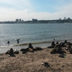 Reserva Faunística de Lobos Marinos