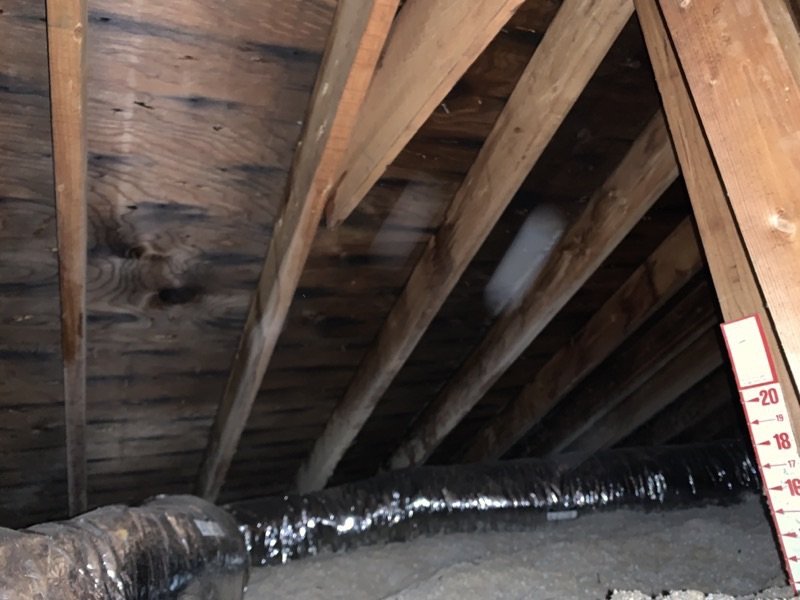 ProEnviro - mold inspector in Whitman, MA