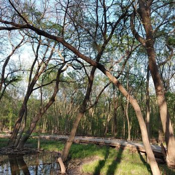 Oak Point Park and Nature Preserve - Peaceful Walk. - Parks Near Me - Plano, Texas Oak Point Park and Nature Preserve - Peaceful Walk. - Parks Near Me - Plano, Texas