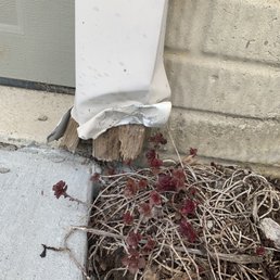 Garage footer damaged during tear away. Garage footer damaged during tear away.