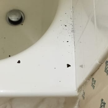 Shower Head Pink Stuff On It Yelp
