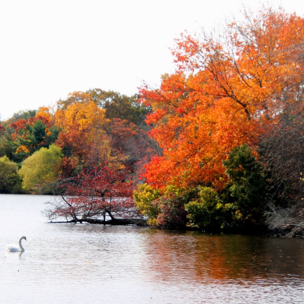 Belmont Lake State Park - Lazy day - Parks Near Me - North Babylon, New York Belmont Lake State Park - Lazy day - Parks Near Me - North Babylon, New York