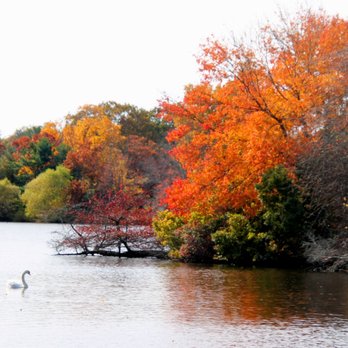 Belmont Lake State Park - Lazy day - Parks Near Me - North Babylon, New York Belmont Lake State Park - Lazy day - Parks Near Me - North Babylon, New York