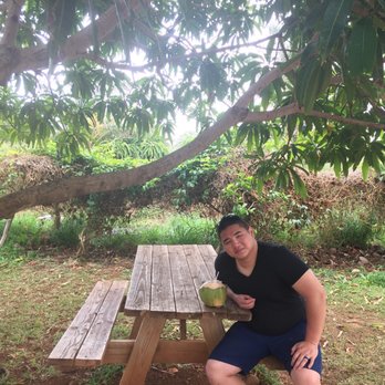 Koloa Fruit Stand - Fruits & Veggies Near Me - Koloa, Hawaii Koloa Fruit Stand - Fruits & Veggies Near Me - Koloa, Hawaii