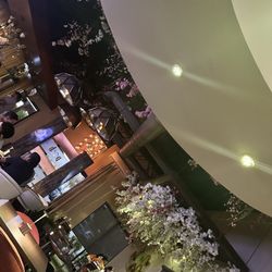 Posh Sushi & Grill - Ambiance