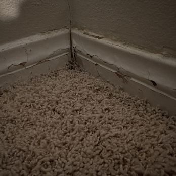 NO LEAKS ROOFING - Updated January 2026 - 109 Photos & 50 Reviews