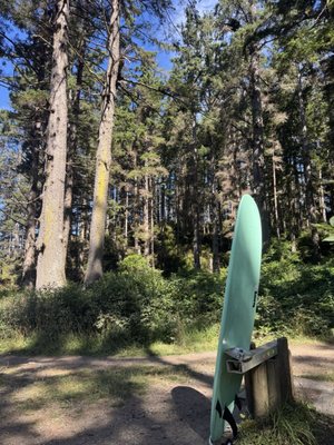 Oswald West State Park by null