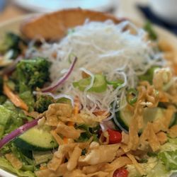 Cribbs Kitchen - Moore - Asian salad with tuna