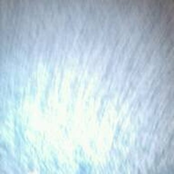 Walmart Supercenter - a polar bear in the water - Department Stores Near Me - Kannapolis, North Carolina
