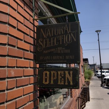 Natural Selection - "Natural Selection" sign outside - Taxidermy Near Me - Reno, Nevada