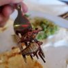 El Tule Mexican Restaurant gift card
