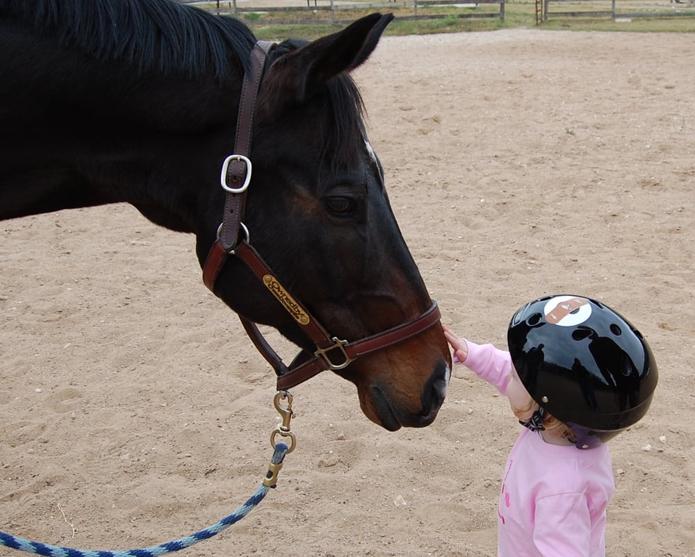 Cadence Therapy - child therapist in Hutto, TX